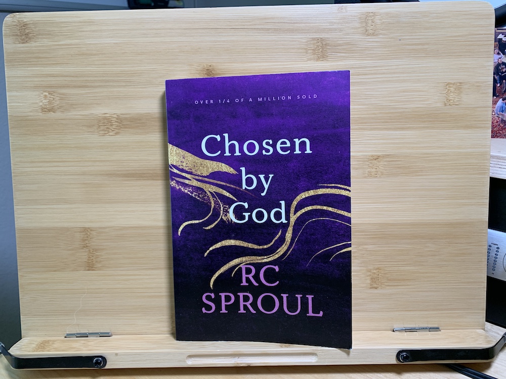 Chosen by God book cover